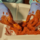 Image for article titled Conquering The Carolina Reaper Requires Self-Deceit, Milk, And A Lot Of Barf